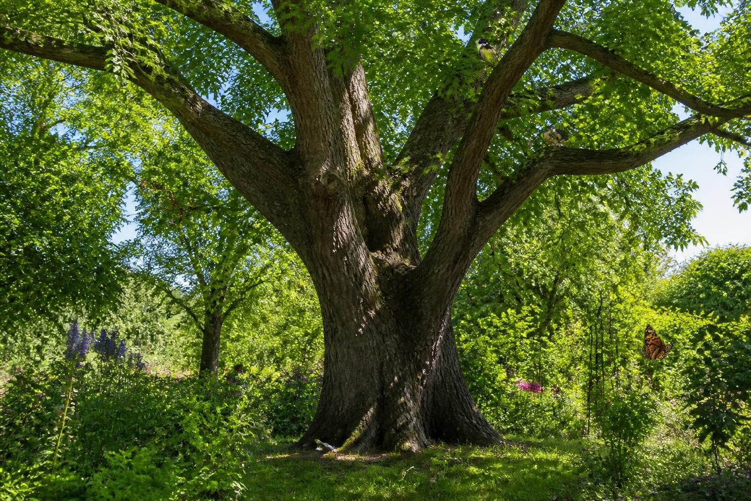 découvrez les nombreux avantages du noyer pour votre jardin, un arbre adapté qui apporte ombre, beauté et bienfaits naturels.